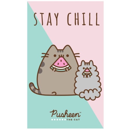 Recznik-przedszkolny-30x50-cm-z-postaciami-Pusheen,-przedstawiajacy-szarego-kota-w-blekitnym-tle-oraz-szarego-kota-o-puszystym-futrze.-Napisy-„STAY-CHILL-oraz-„Pusheen-w-kolorze-brazowym.-Produkt-lezy-p.webp