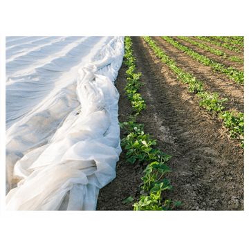 AGROWŁÓKNINA AGROTKANINA FIZELINA WIGOFIL 1,5X10 M 30G BIAŁA